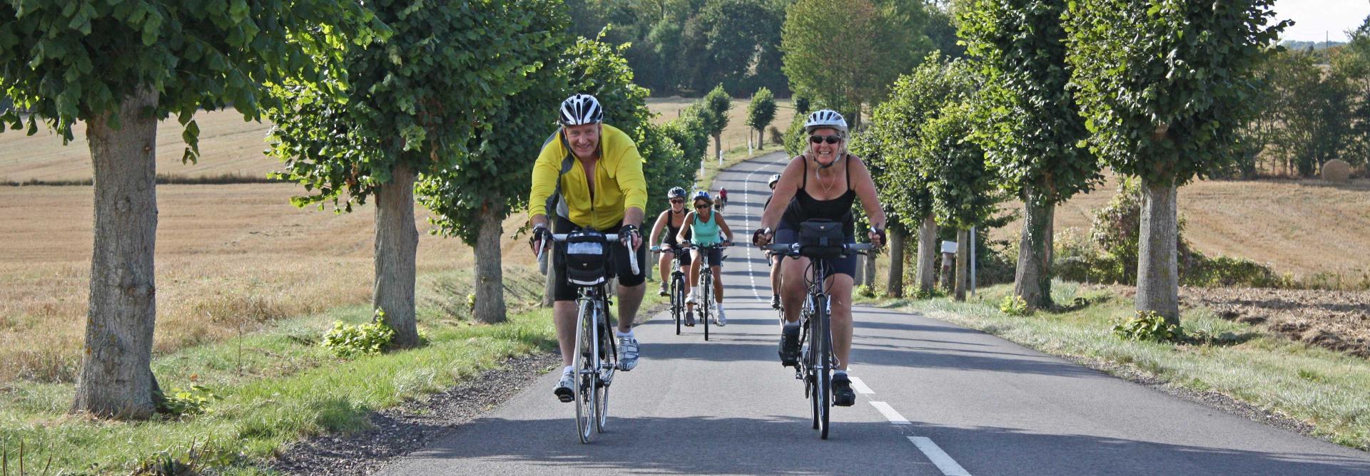 Cyclists riding on the road with trees on either side